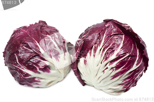 Image of Radicchio