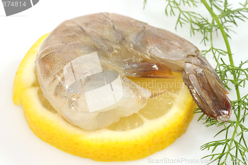 Image of Raw shrimp