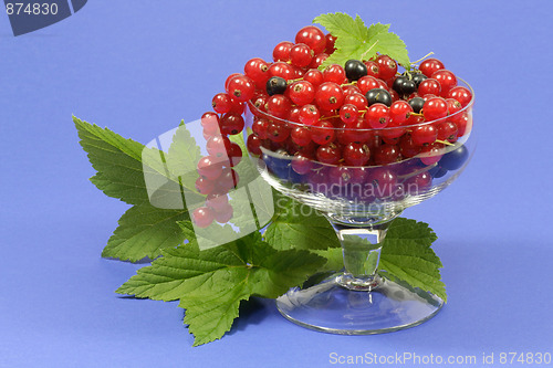 Image of Currants