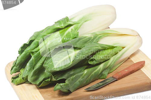 Image of Spinach beet