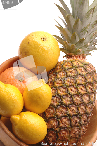 Image of citrus 1204