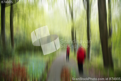 Image of Beech forest background