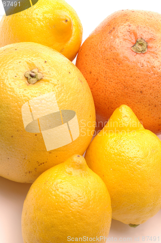 Image of lemons and grapefruits