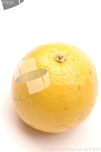 Image of grapefruit