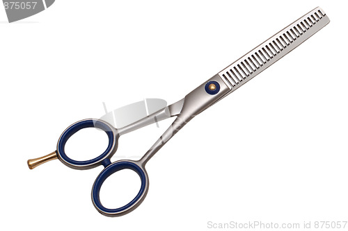 Image of Thinning scissors