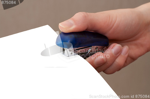 Image of Stapling