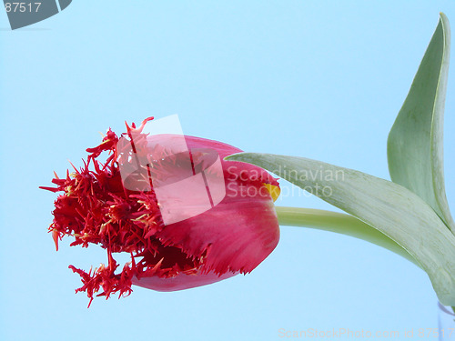 Image of spring time