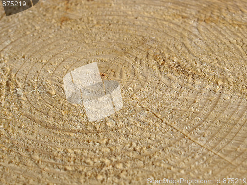 Image of Wood rings