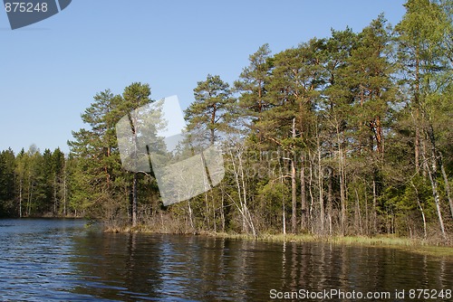 Image of Pine Lake in the Spring