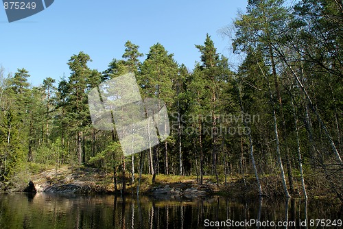 Image of Reflections on Forest Lake