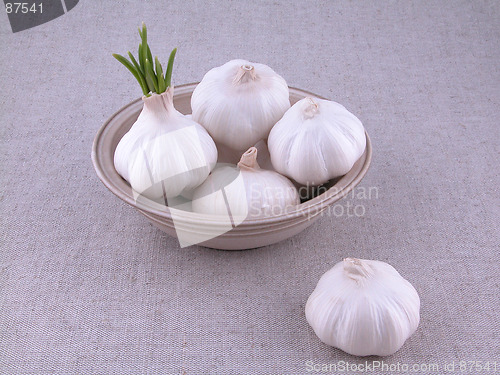 Image of garlic