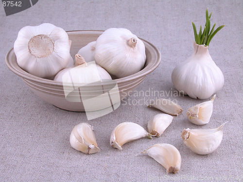 Image of garlic