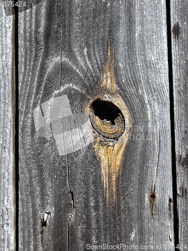 Image of hole in the fence