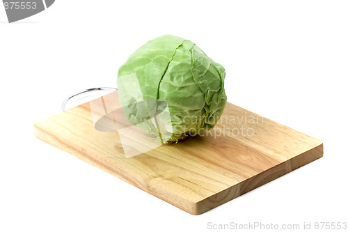 Image of green cabbage