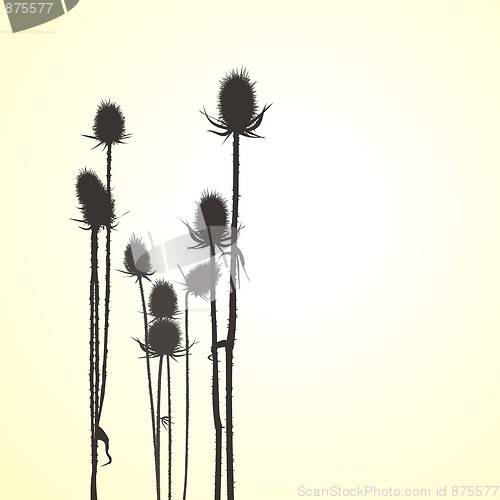 Image of Thistle, isolated vector objects