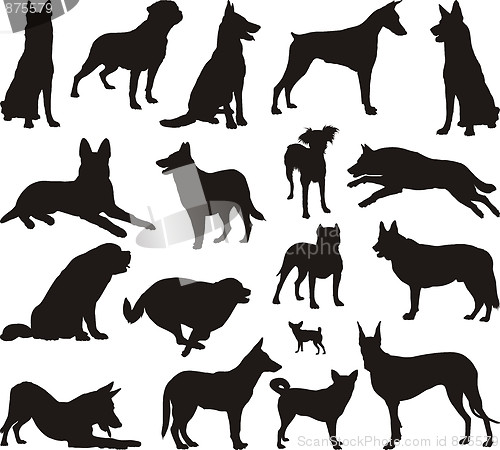 Image of Dog silhouette