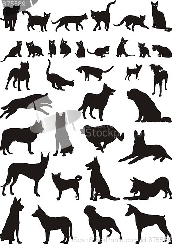 Image of Cats and dogs