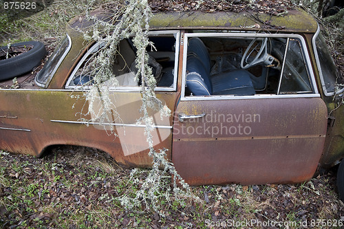 Image of Abandoned car in nature