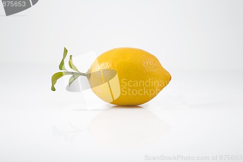 Image of yellow lemon and green leaves