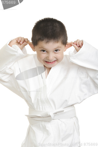 Image of Little frolic karate kid