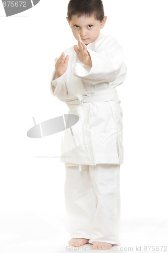 Image of Serious little karate kid
