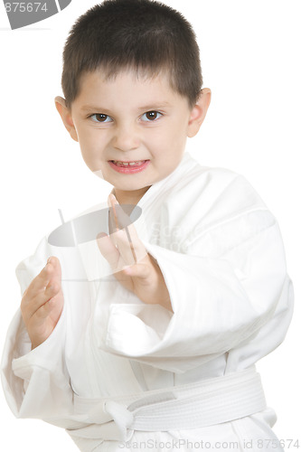 Image of Little karate kid