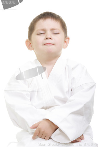 Image of Pompous little karate kid