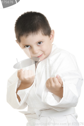 Image of Challenging little karate kid