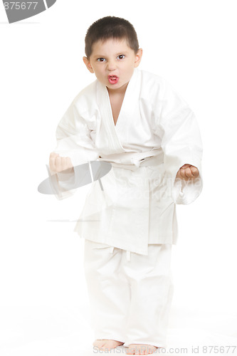 Image of Little karate kid in threatening pose