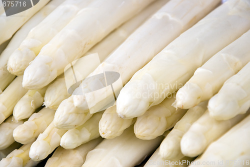 Image of white asparagus
