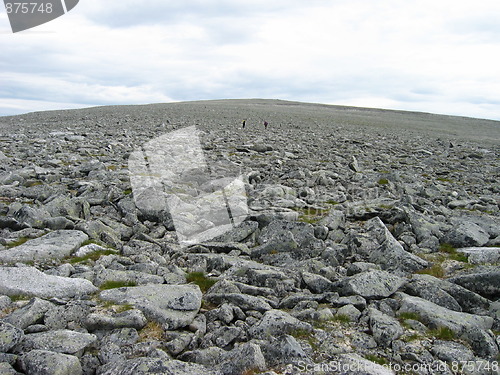 Image of Endless mountain