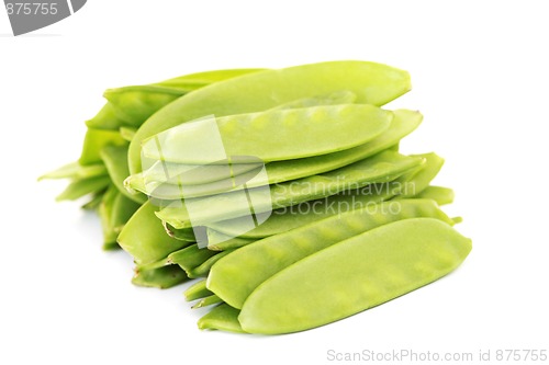 Image of baby sweet peas