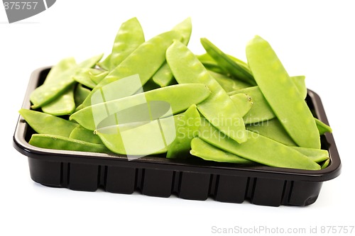 Image of baby sweet peas