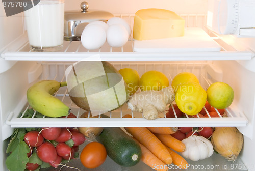 Image of food refrigerator