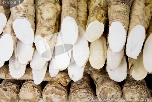Image of meerrettich horseradish