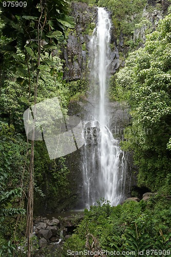 Image of Road To Hana Waterfall