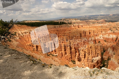 Image of Bryce Canyon Vista