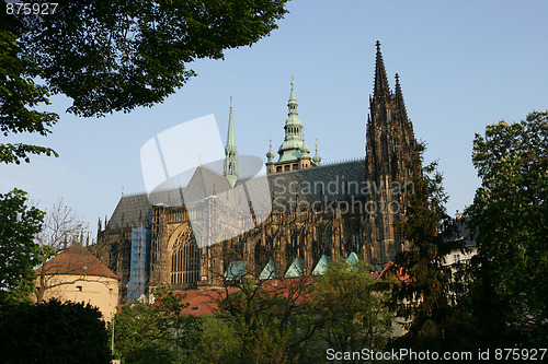 Image of St. Vitus Cathedral