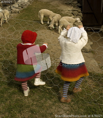 Image of Children looking at lambs