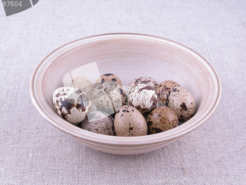 Image of quail eggs