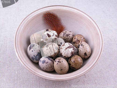 Image of quail eggs