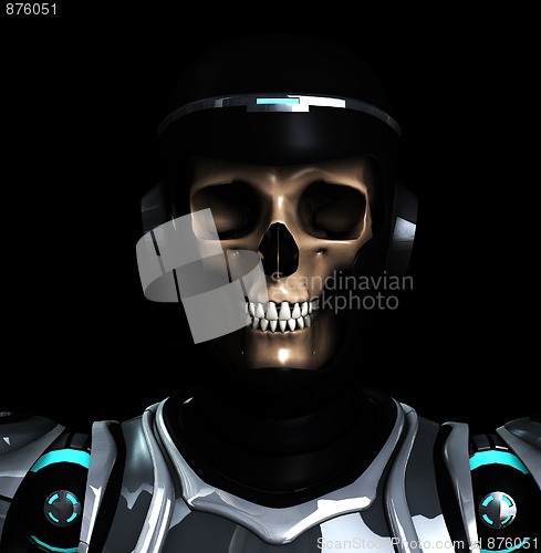 Image of Skeleton Armour