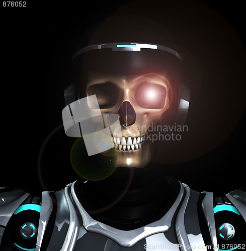 Image of Skeleton Armour
