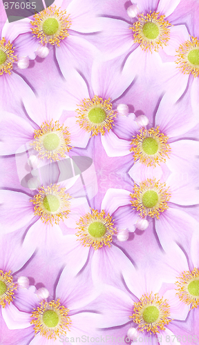 Image of Japanese Anemone Pattern Background