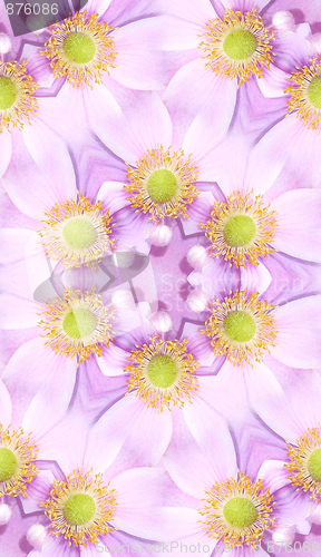 Image of Japanese Anemone Pattern Background