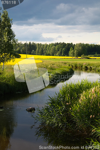 Image of Summer landscape