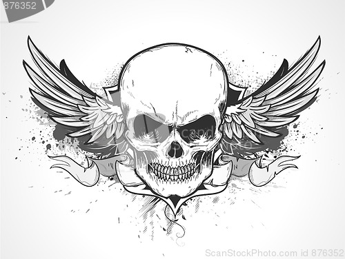 Image of human skull