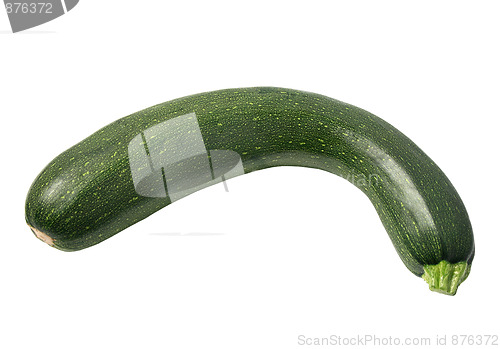 Image of One green zucchini.