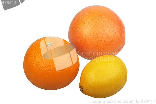 Image of Orange, grapefruit and yellow lemon.