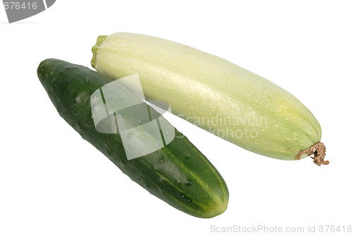 Image of Green cucumber and zucchini.